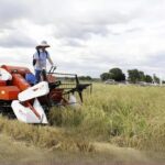 NE faz revolução agrícola em parceria com a china